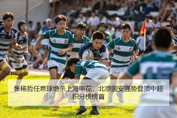 张稀哲任意球绝杀上海申花，北京国安强势登顶中超积分榜榜首